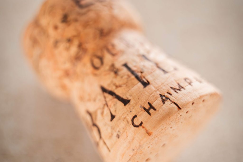 0020-DSC03489-scaled